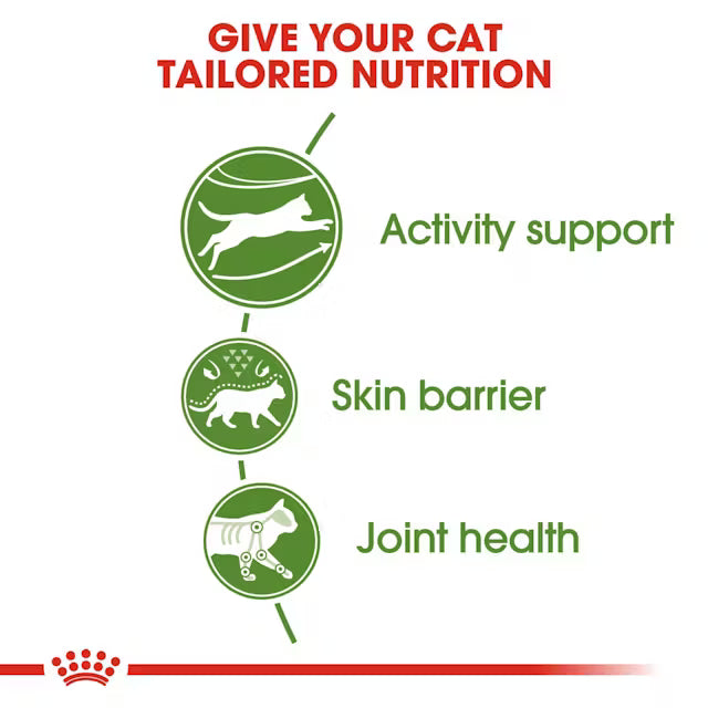 Royal Canin Cat Outdoor Dry Food 2 kg